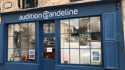 AUDITION SANDELINE, Audioprothésiste à Maule