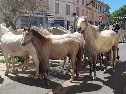 Audition Conseil Istres, Audioprothésiste à Istres