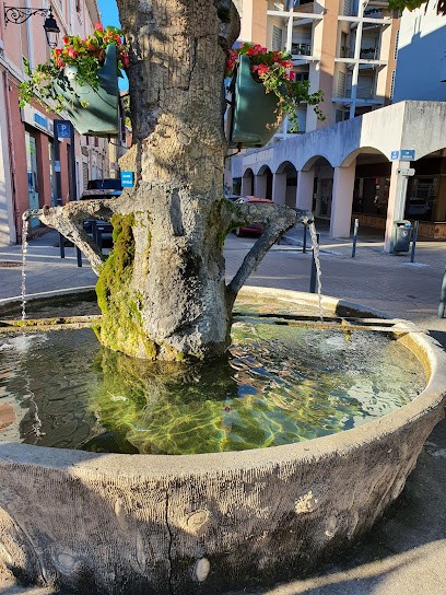 Audition Conseil, Audioprothésiste à Voiron