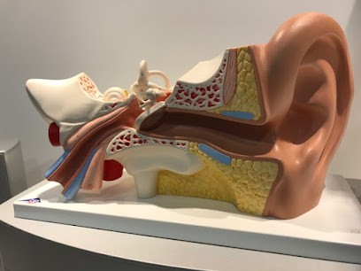 Audition E.Leclerc, Audioprothésiste à Wattrelos