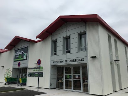Audition Pedarregaix Saint-Pée-sur-Nivelle - Audioprothésiste, Audioprothésiste à Saint-Pée-sur-Nivelle