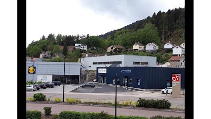 Écouter Voir Audition Mutualiste, Audioprothésiste à Remiremont