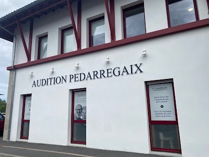 Audition Pédarregaix St Pierre D'Irube - Audioprothésiste, Audioprothésiste à Saint-Pierre-d'Irube