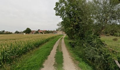 Audio 2000 - Audioprothésiste Varennes sur Allier, Audioprothésiste à Varennes-sur-Allier